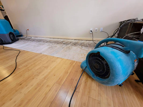 Professional Emergency Water Damage technician working in Pisgah, AL